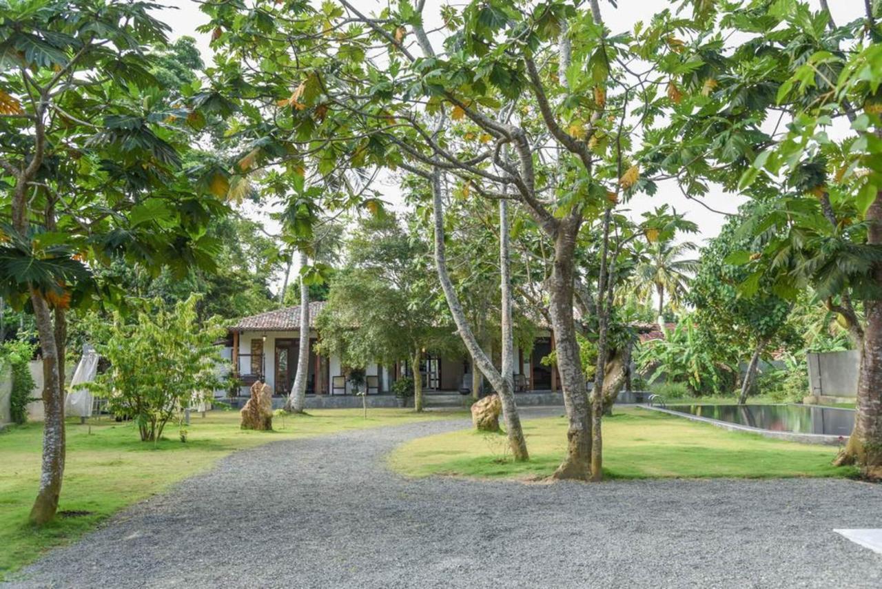 Antique Ceylon Villa Ахангама Экстерьер фото